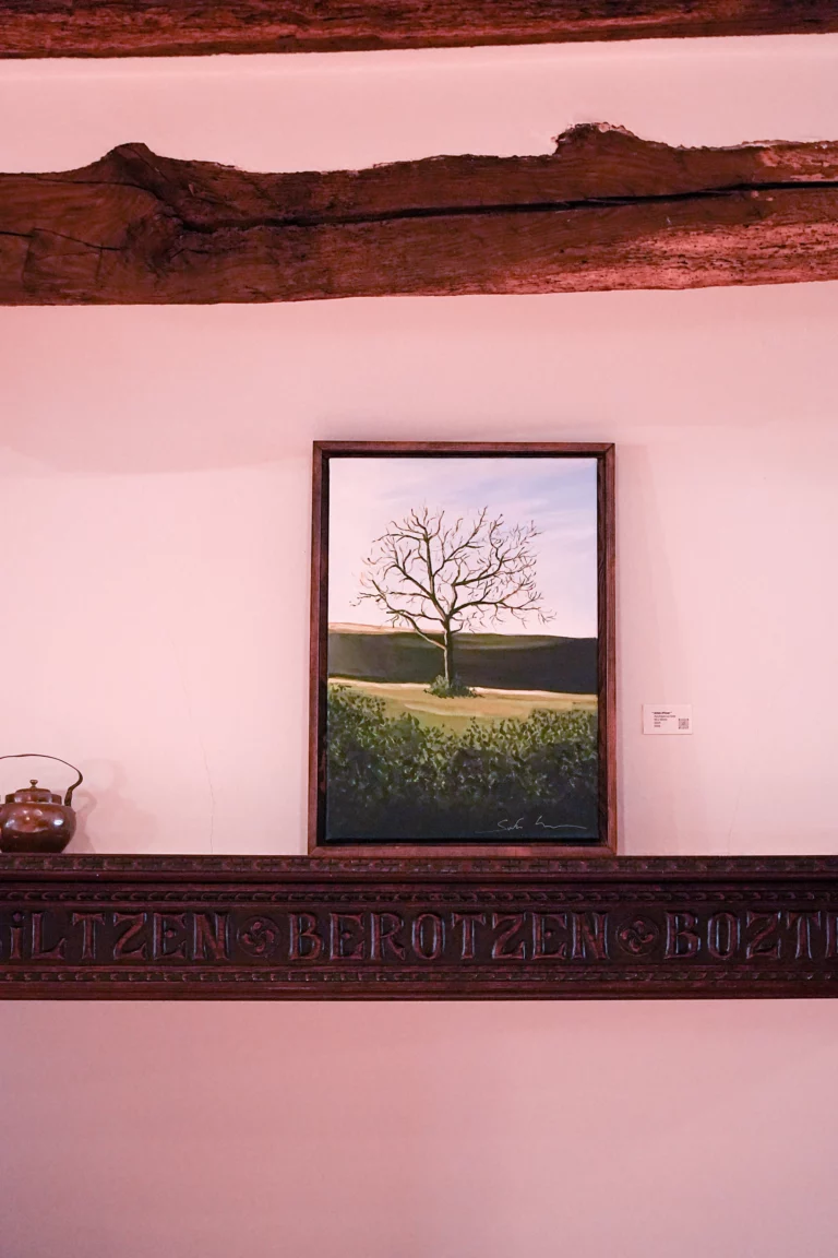 Jules Cier expose ses oeuvre à la maison Oppoca