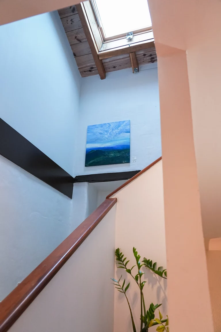Jules Cier expose ses oeuvre à la maison Oppoca