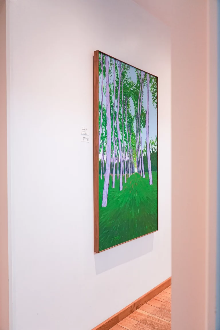 Jules Cier expose ses oeuvre à la maison Oppoca